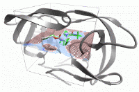 HIV-1 Protease with a grid slicing through the active site.