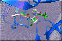 A prediction by AutoDock: HIV-1 Protease inhibitor (green = experiment, white = predicted).
