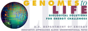 Genomes to Life
