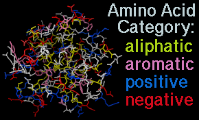 amino acid categories