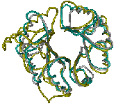 Image of Enolase
