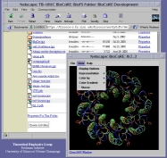 JMV in BioCoRE
