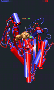 kinesin