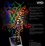 VMD - Visual Molecular Dynamics